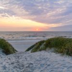 Urlaub mit Hund: Mit der ganzen Familie nach Dänemark