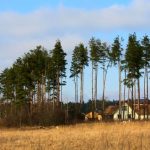 Urlaubsidylle pur: Ferienhäuser in Dänemark besuchen